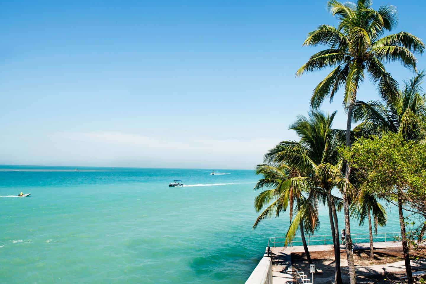 light blue water on the left and small concrete park on the right with palm trees