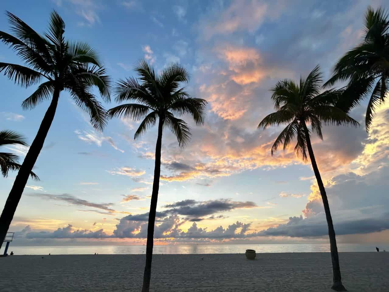 4 tall plam trees on the beach with pastel sky